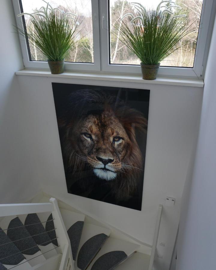 Ferienhaus Marny Trassenheide Buitenkant foto